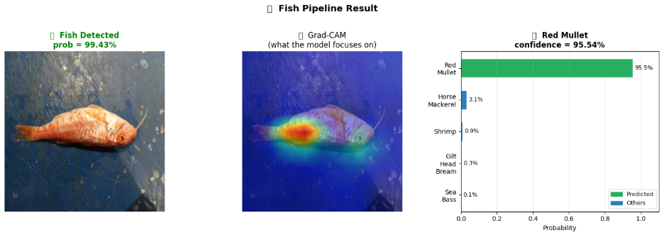Fish Recognition Results 1