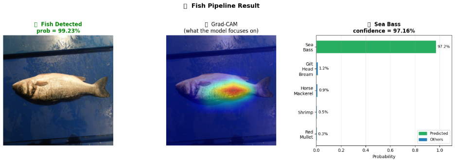 Fish Recognition Results 2