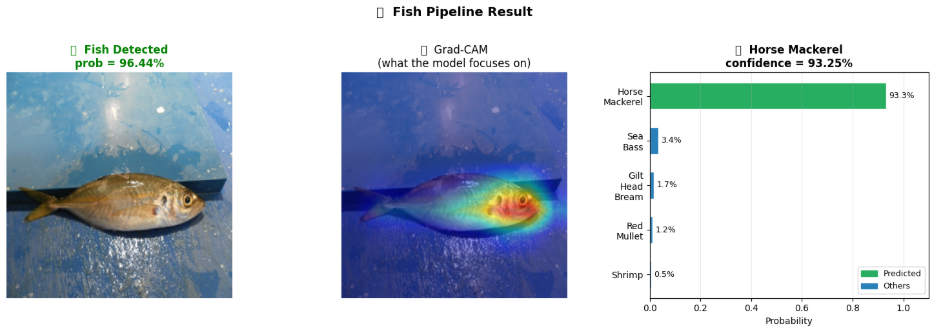 Fish Recognition Results 3